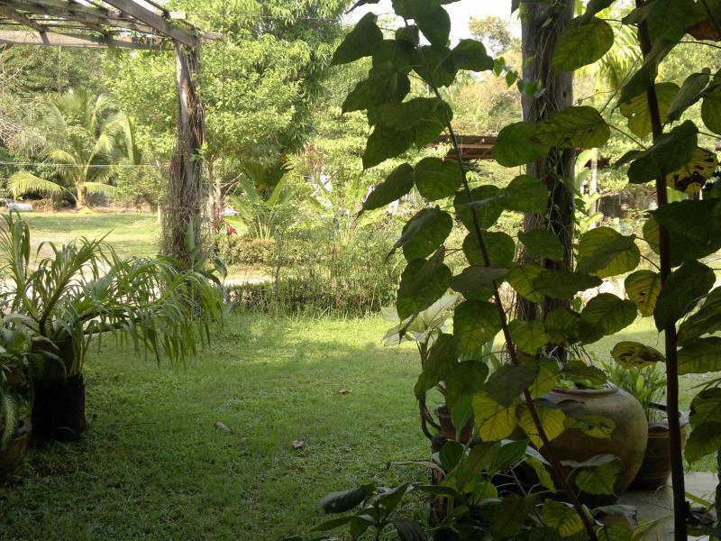 The Mangrove Hideaway Kohchang Ко Чанг Екстериор снимка