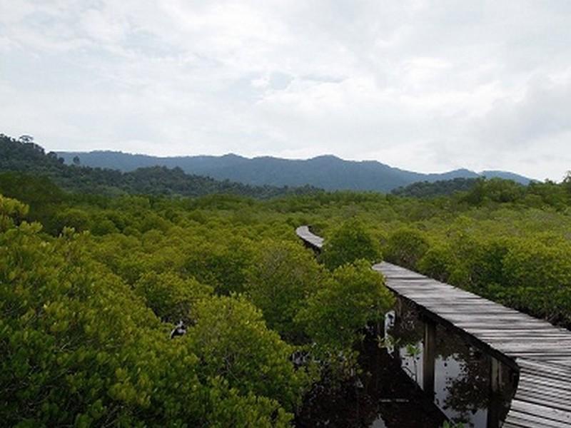 The Mangrove Hideaway Kohchang Ко Чанг Екстериор снимка